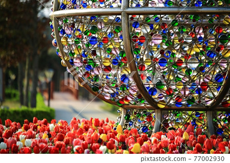 鬱金香花園,春日風景 鬱金香花園,春日風景 77002930