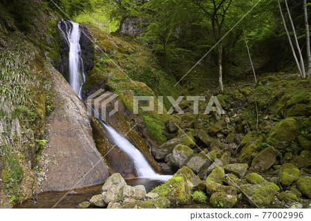 Awaga Falls (Me Falls) Santocho, Asago City, Hyogo Prefecture 77002996