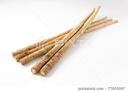 牛蒡根 牛蒡根 77003097