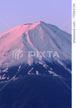 (Yamanashi Prefecture) The summit of Beni Fuji at dawn (Yamanashi Prefecture) The summit of Beni Fuji at dawn 77003134