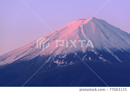(Yamanashi) Red Fuji at dawn Close-up (Yamanashi) Red Fuji at dawn Close-up 77003135