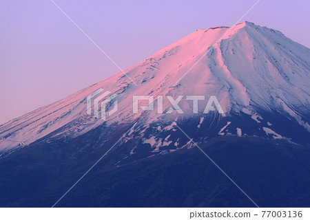 (Yamanashi Prefecture) Early morning, the summit of Mt. (Yamanashi Prefecture) Early morning, the summit of Mt. 77003136
