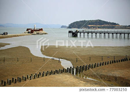 當你想念海、沙灘時 當你想念海、沙灘時 77003250