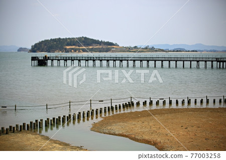 When you miss the sea, the beach When you miss the sea, the beach 77003258