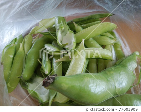 蠶豆和豌豆皮 77003909