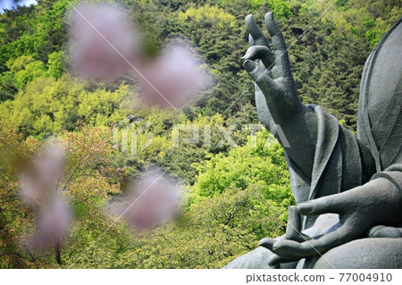Temple scenery, spring scenery Temple scenery, spring scenery 77004910
