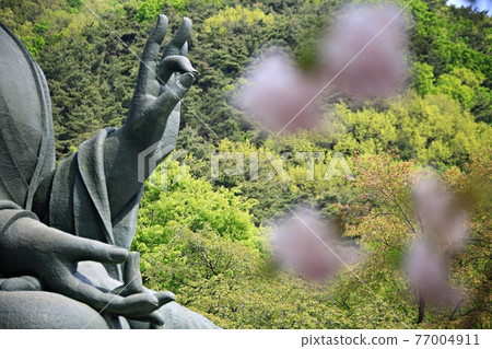 Temple scenery, spring scenery Temple scenery, spring scenery 77004911