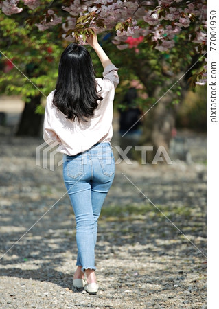 Temple scenery, spring scenery 77004950