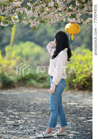 Temple scenery, spring scenery 77004956