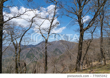 從小丸嶺支路到鍋割山的山路上看到的丹澤群山(遠景中的丹澤山) 從小丸嶺支路到鍋割山的山路上看到的丹澤群山(遠景中的丹澤山) 77005042