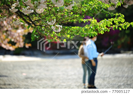 寶天寧誕辰、寺廟風景 77005127