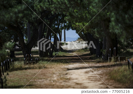 Beyond the street 77005216