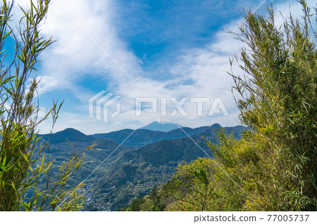 Mt. Fuji seen from the mountain trail that goes down from Myojogatake to Miyagi Nobashi bus stop 77005737