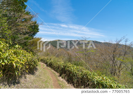 從屋倉澤埡口到明神岳的山路 從屋倉澤埡口到明神岳的山路 77005765