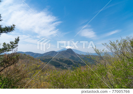 從屋倉沢山口到明神岳的山路上看到的足柄山和富士山 從屋倉沢山口到明神岳的山路上看到的足柄山和富士山 77005766