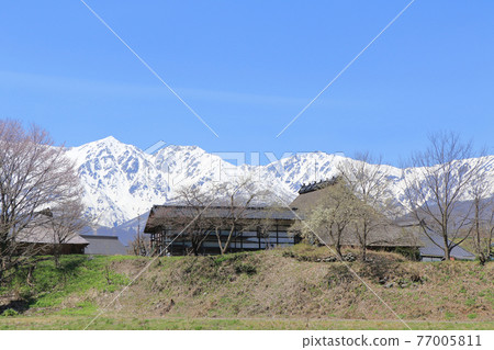 白馬溫泉大江之裡 77005811