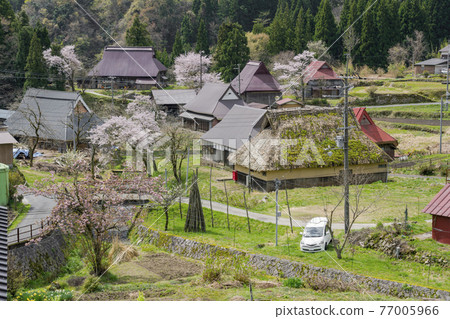 Kyoto Seya Kogen (Spring) Kyoto Seya Kogen (Spring) 77005966