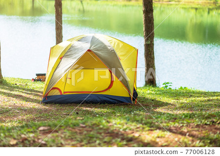 Camping under the forest, yellow tent near lake. Outdoor travel, trip and vacation concept 77006128