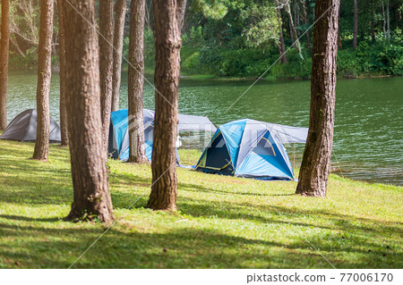 Camping under the pine forest, blue tent near lake at Pang Oung, Mae Hong Son, Thailand. travel, trip and vacation concept Camping under the pine forest, blue tent near lake at Pang Oung, Mae Hong Son, Thailand. travel, trip and vacation concept 77006170
