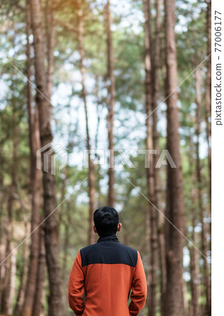Happy traveler man standing and looking Pine tree forest, solo tourist in orange sweater traveling at Pang Oung, Mae Hong Son, Thailand. travel, trip and vacation concept Happy traveler man standing and looking Pine tree forest, solo tourist in orange sweater traveling at Pang Oung, Mae Hong Son, Thailand. travel, trip and vacation concept 77006177