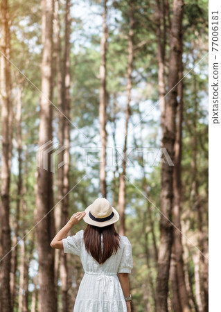 Happy traveler woman standing and looking Pine tree forest, solo tourist in white dress and hat traveling at Pang Oung, Mae Hong Son, Thailand. travel, trip and vacation concept Happy traveler woman standing and looking Pine tree forest, solo tourist in white dress and hat traveling at Pang Oung, Mae Hong Son, Thailand. travel, trip and vacation concept 77006181