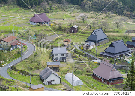 京都瀨谷高原（春季） 77006234
