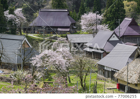 Kyoto Seya Kogen (Spring) Kyoto Seya Kogen (Spring) 77006255