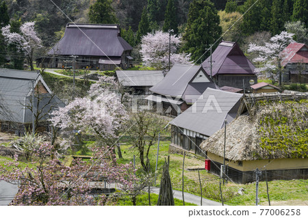 Kyoto Seya Kogen (Spring) 77006258
