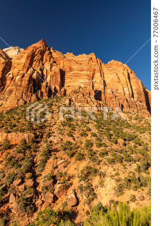 American nature 77006467