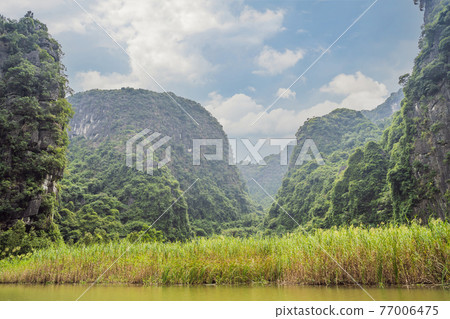 Trang An, Tam Coc, Ninh Binh, Viet nam. It's is UNESCO World Heritage Site, renowned for its boat cave tours. It's Halong Bay on land of Vietnam. Vietnam reopens borders after quarantine Coronovirus 77006475