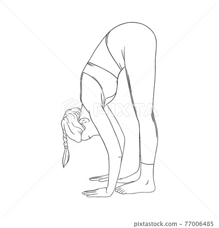 Stretching yogi woman. Hatha yoga forward fold pose. Vector illustration in white background Stretching yogi woman. Hatha yoga forward fold pose. Vector illustration in white background 77006485