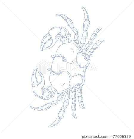 88 Constellation Series C-Constellation picture only on white background-Cancer 88 Constellation Series C-Constellation picture only on white background-Cancer 77006589