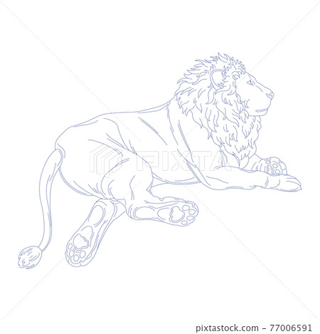 88 Constellation Series C-Constellation picture only on a white background-Leo 88 Constellation Series C-Constellation picture only on a white background-Leo 77006591