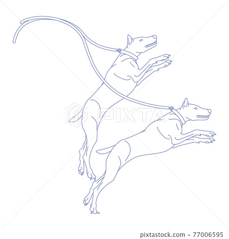 88 Constellation Series C-Constellation picture only on a white background-Canes Venatici 77006595