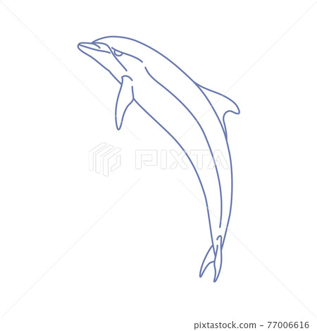 88星座系列C-白底星座圖片-Delphinus 77006616