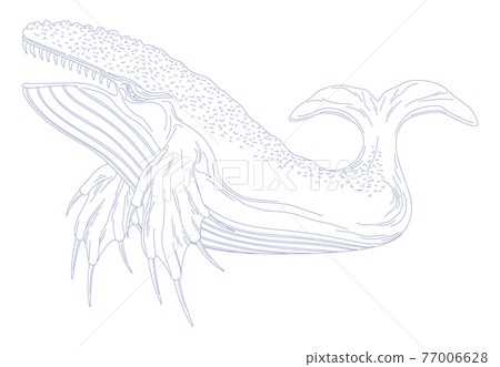 88星座系列C-白底星座圖片-Cetus 77006628