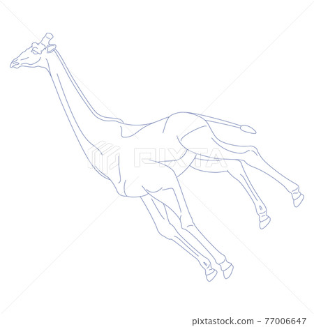 88星座系列C-白底星座圖片-Camelpardalis 88星座系列C-白底星座圖片-Camelpardalis 77006647