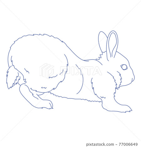 88星座系列C-白底星座圖片-天兔座 88星座系列C-白底星座圖片-天兔座 77006649