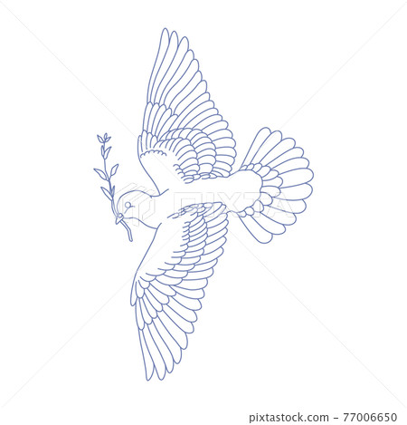 88星座系列C-星座圖片僅白底-天鴿座 77006650