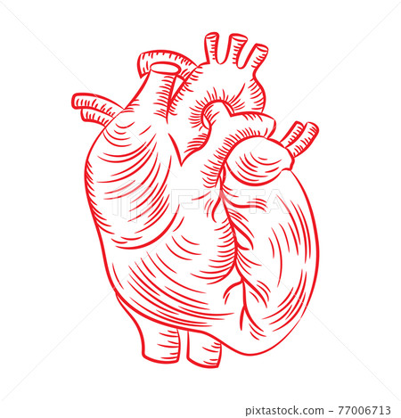 Red Heart Drawing Images – Browse 1,771,201 Stock Photos, Vectors, and  Video