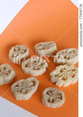 Natural loofah sponges in orange background. Natural loofah sponges in orange background. 77006736