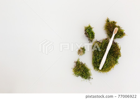 Wooden tooth brush flat lay on white background with green moss 77006922