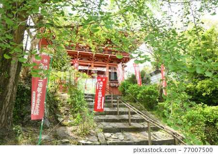 Shoriji Temple Niomon(和歌山縣工藤山町) Shoriji Temple Niomon(和歌山縣工藤山町) 77007500