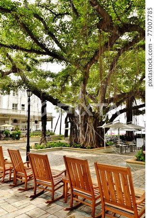 夏威夷的假期 77007785