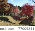 Kitsuregawa Castle Sorabori 77009231