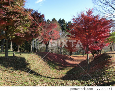 Kitsuregawa Castle Sorabori Kitsuregawa Castle Sorabori 77009231