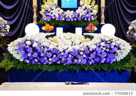 大麗花的時尚花壇 大麗花的時尚花壇 77009613