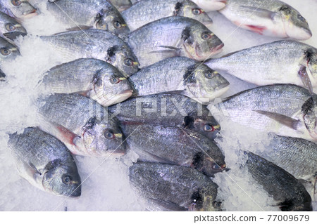 Fresh Dorado fish 77009679