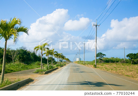 [宮古島] 宮古島的風景：筆直的路 77010244