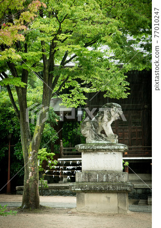 [長野] 松本市的能量點四頭神社 77010247